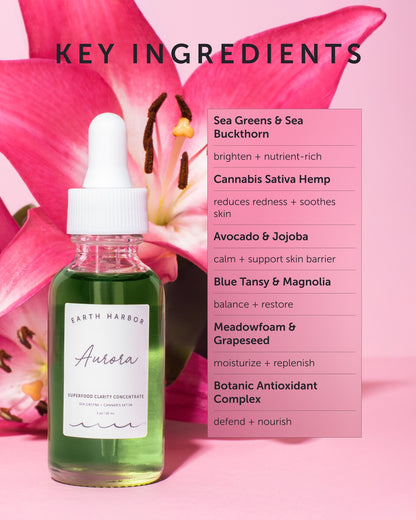 AURORA Superfood Clarity Concentrate - Refill