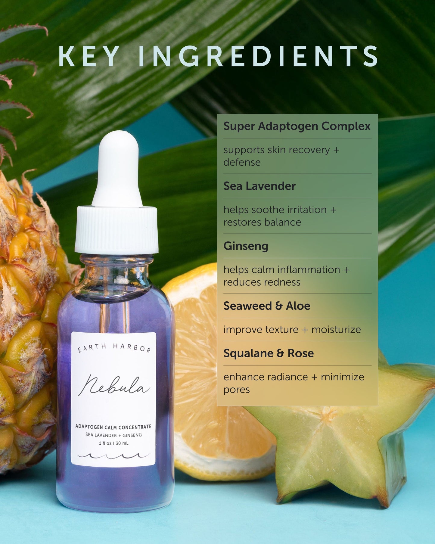 NEBULA Adaptogen Calm Concentrate